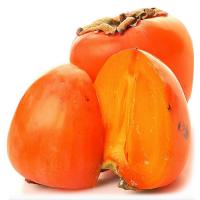 Хурма Шошборын