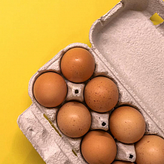 Яйцо